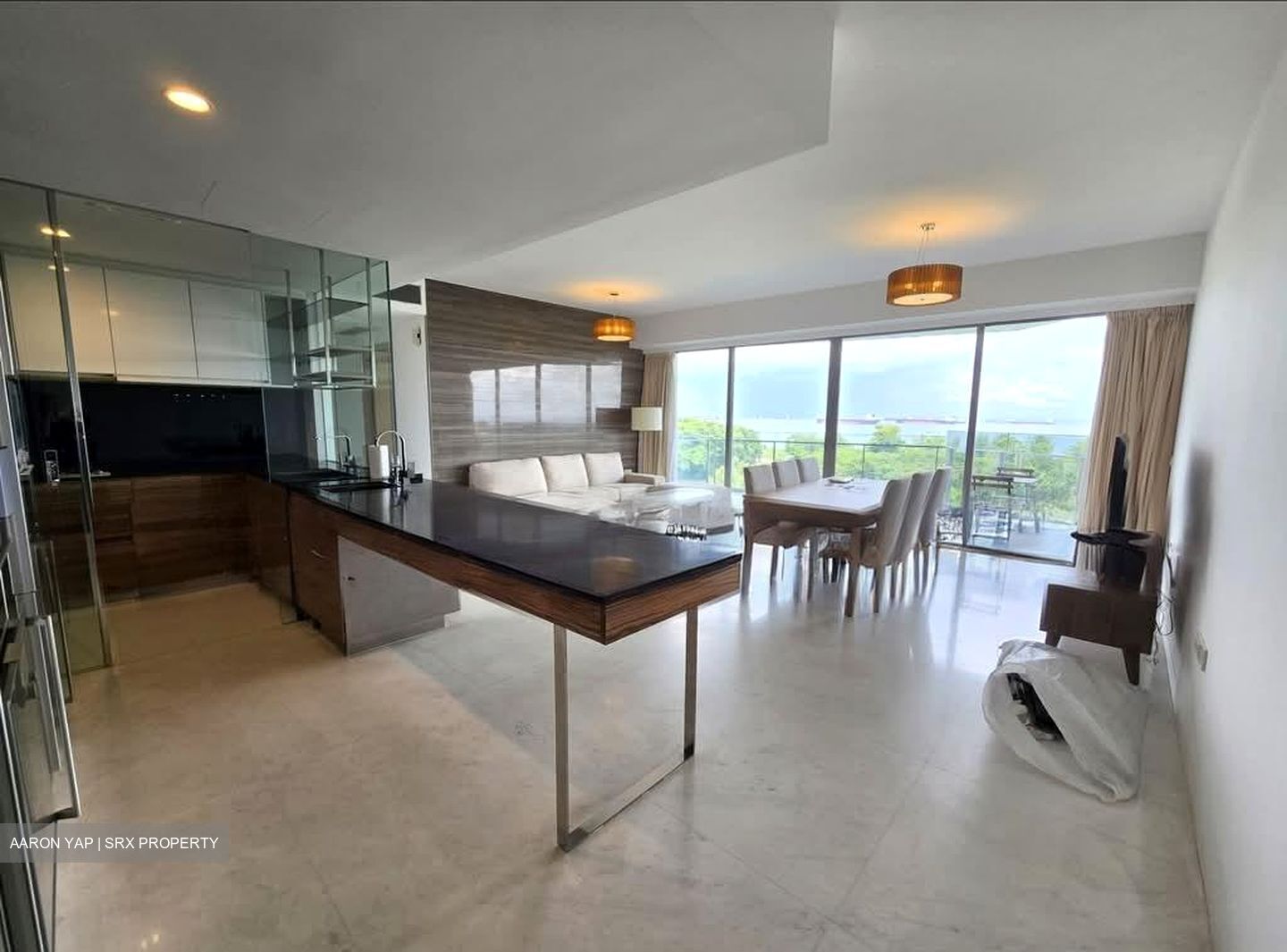 SilverSea (D15), Condominium #561287731